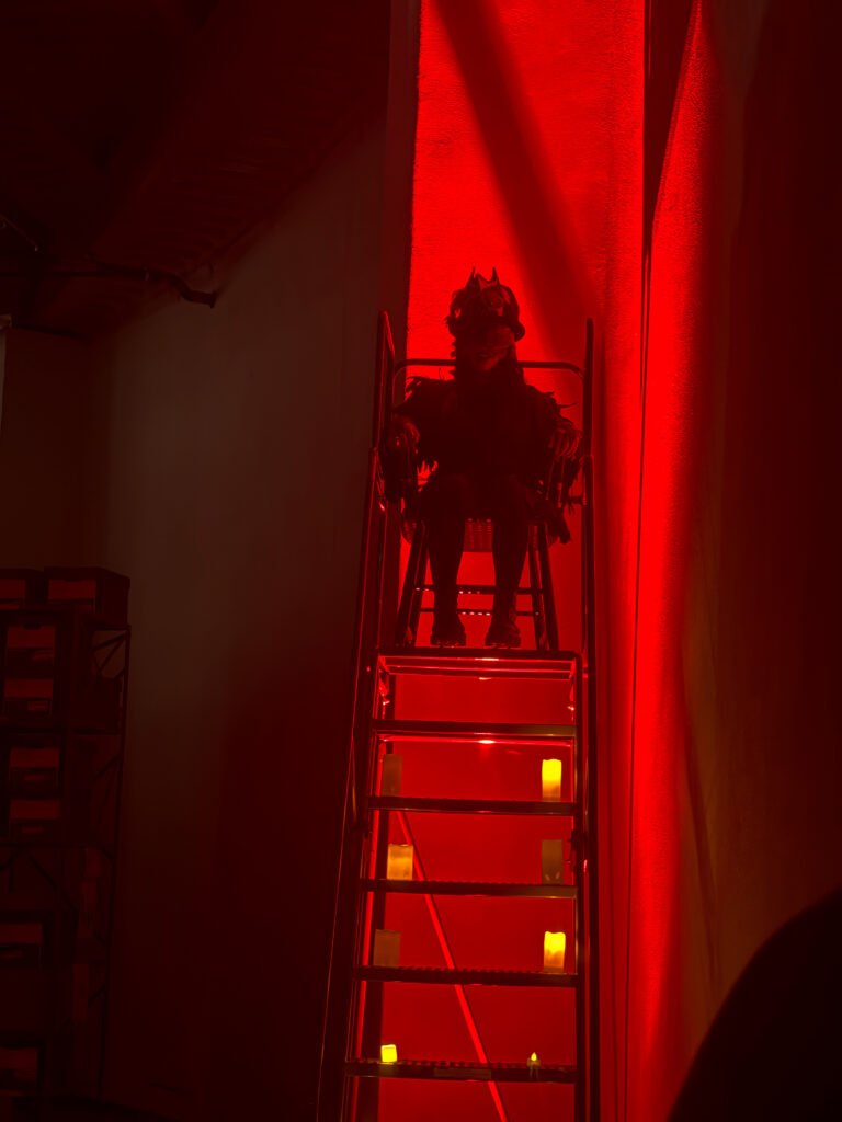 Saint Saen Costume on Stage